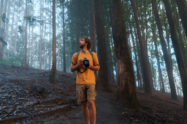 Treasure Campsites Hidden in the Mountains and Forests: Your Guide to Secret Outdoor Adventures