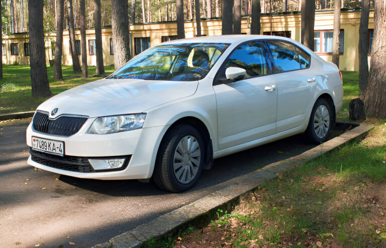 Škoda's Compact Contenders: The Skoda Kamiq and Skoda Octavia