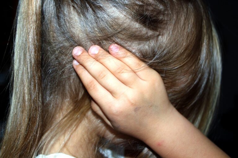 Child Custody Cases