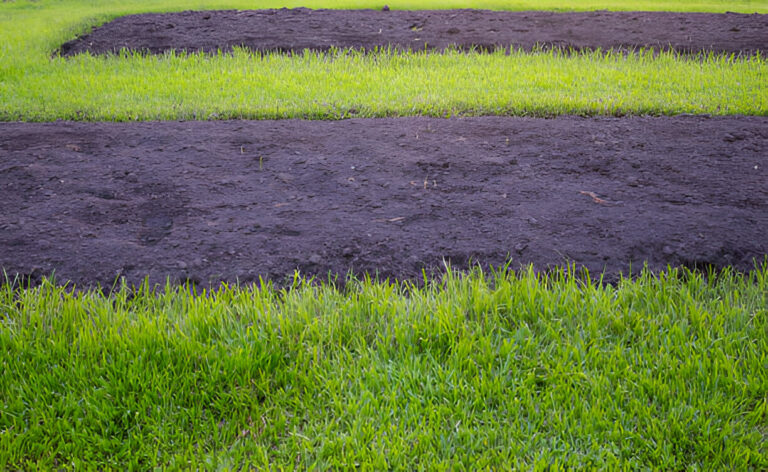 Soil Health in Turf Management