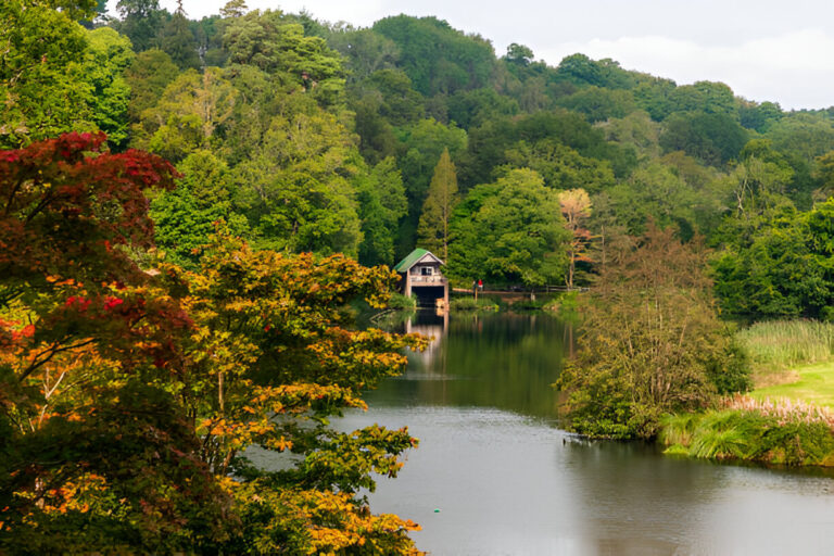Five of the Most Peaceful Spots in Surrey